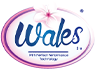 logo7