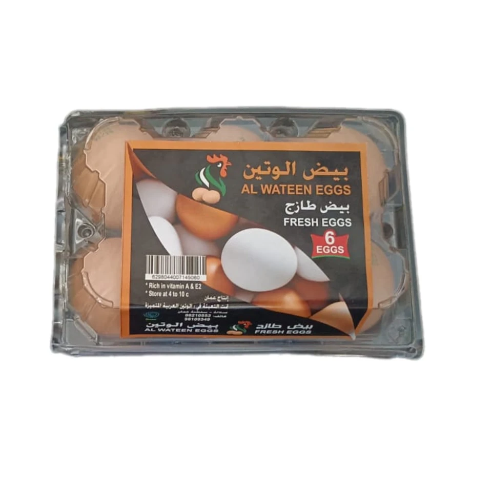 Al Wateen Fresh Eggs – 6 Pack